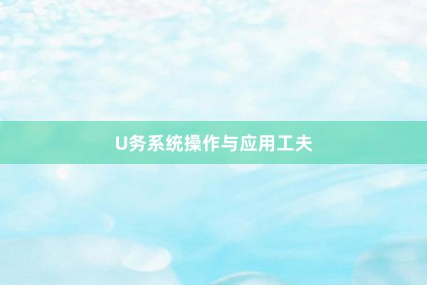 U务系统操作与应用工夫